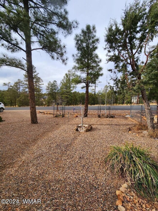 41 Timber Ridge Loop, Show Low, AZ 85901 - photo 4