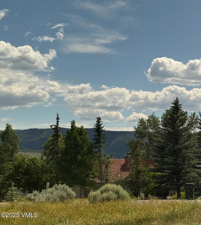 View from Living Room