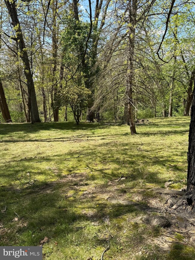 44 Wilburtha Rd, Ewing, NJ 08628 - photo 5