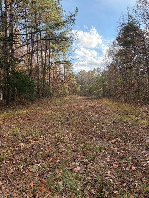 000 Rd, Grenada, MS 38901 - photo 2