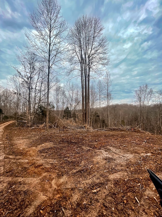 0 Ridgetop Dr unit RTC2969899, Bon Aqua, TN 37025 - photo 3