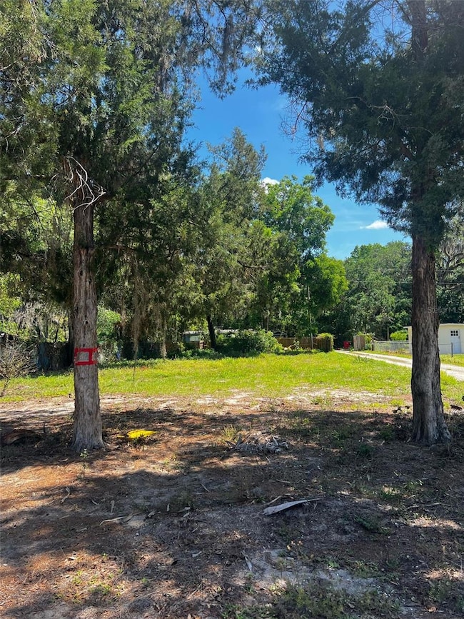 1651 S Shady Terrace, Inverness, FL 34450 - photo 3