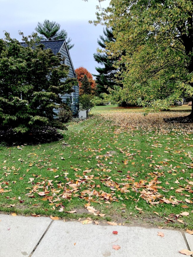 216 Forrest Front Side Yard