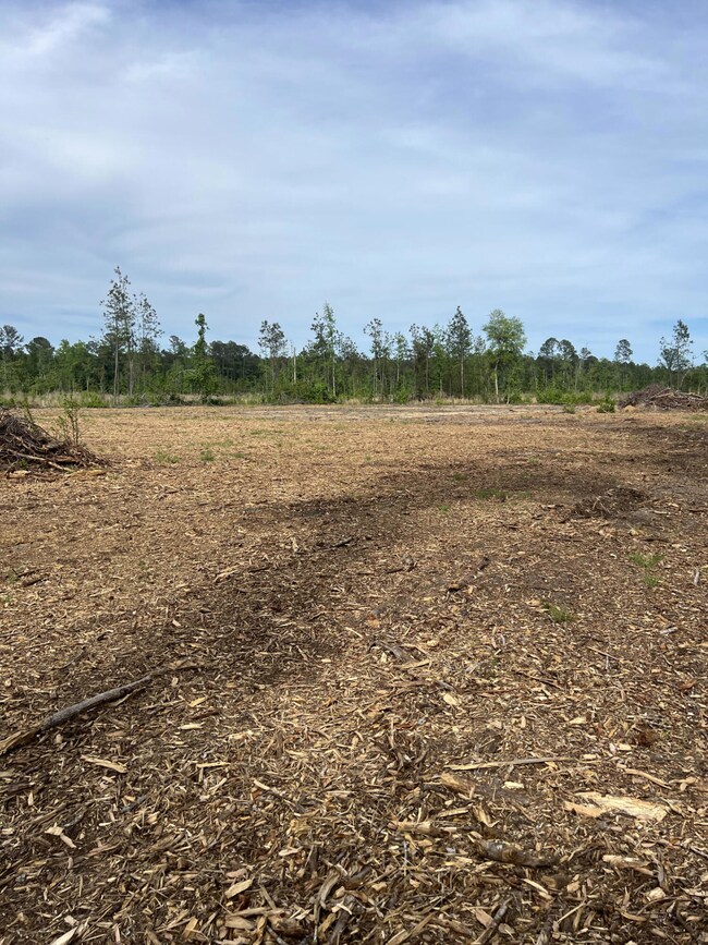 277 Herndon St, Walterboro, SC 29488 - photo 4