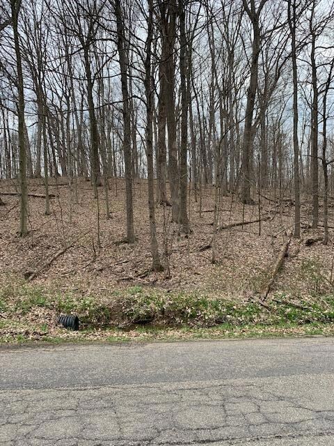 Lot99/100 Highland Hills Dr, Howard, OH 43028 - photo 5