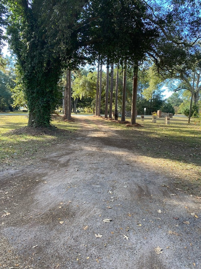 1719 Lily Pond Rd, Albany, GA 31701 - photo 4