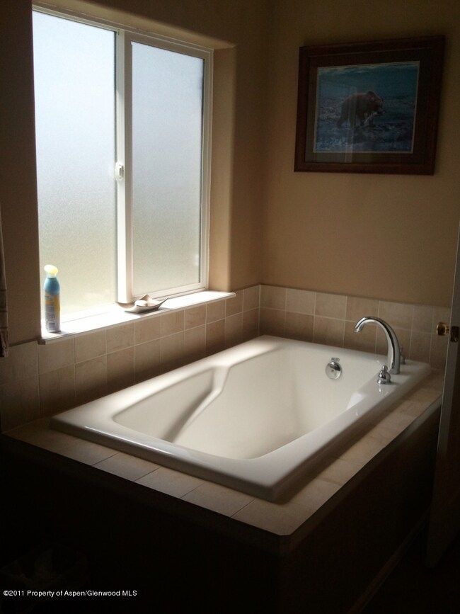 Master Tub