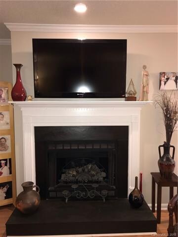Gas Fireplace in living room.