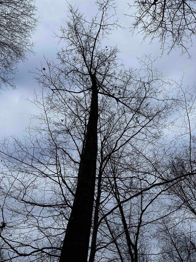 01 Matthew Dr, Birnamwood, WI 54414 - photo 6