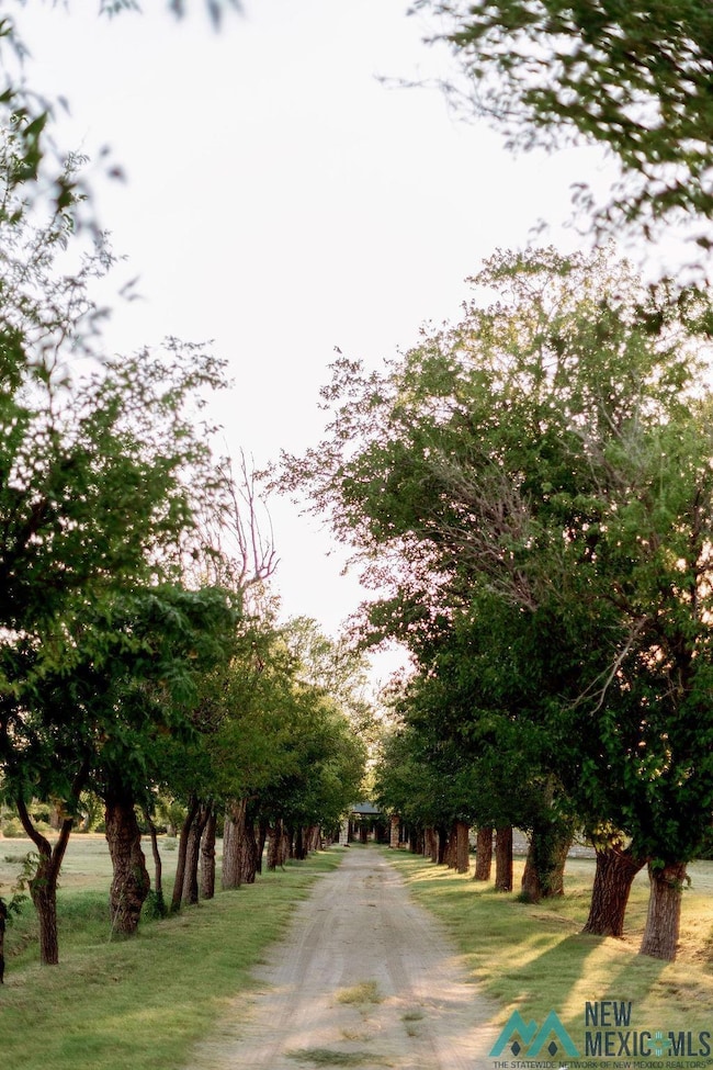 1301 N Canal St, Carlsbad, NM 88220 - photo 2