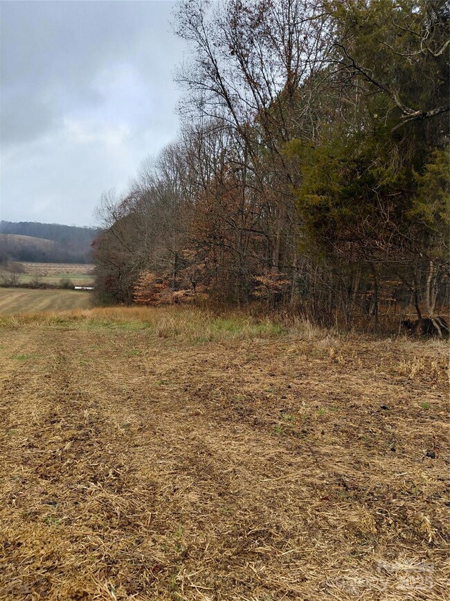 000 Hamlet Rd, Harmony, NC 28634 - photo 7