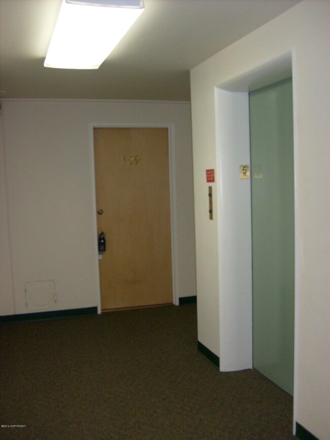 Green elevator door,509 is wood door