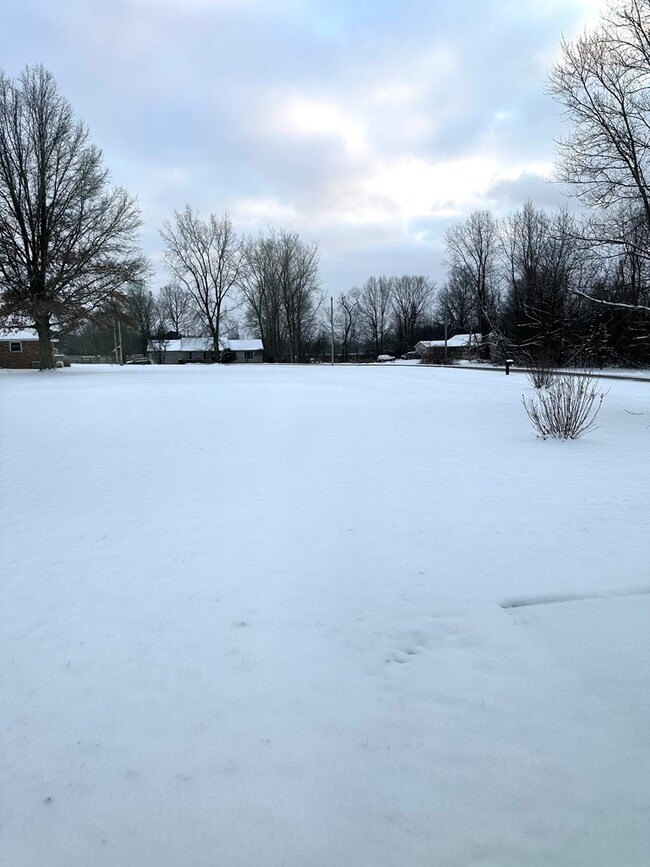 looking out at the back yard