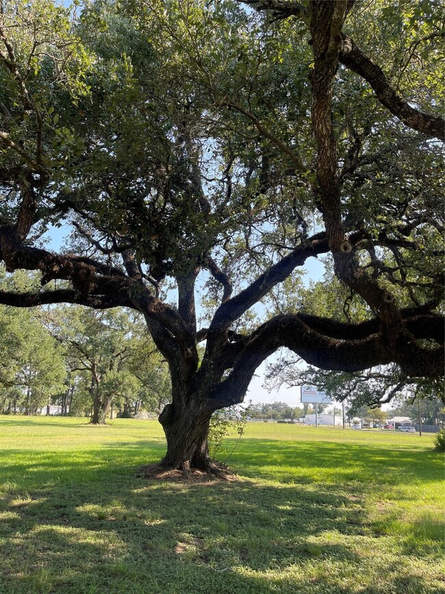 TBD S Alexander Dr, Baytown, TX 77520 - photo 5