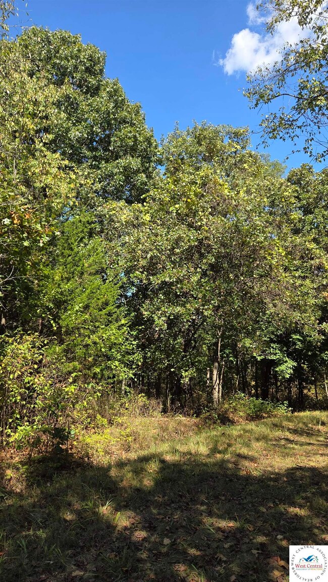 Lot 2172 Forbes Fay Rd, Edwards, MO 65326 - photo 5