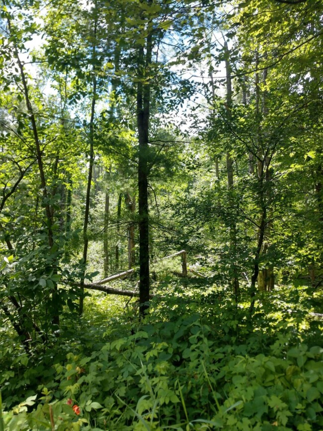 IMG_20200716_135410961_HDR