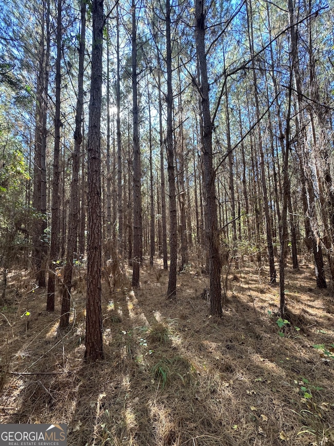 000 Jones Bridge Rd, Sparta, GA 31087 - photo 2