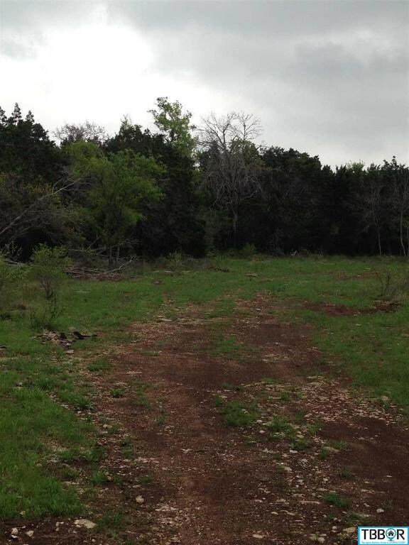 0 Kuykendall Mountain Rd unit 9112864, Temple, TX 76502 - photo 4