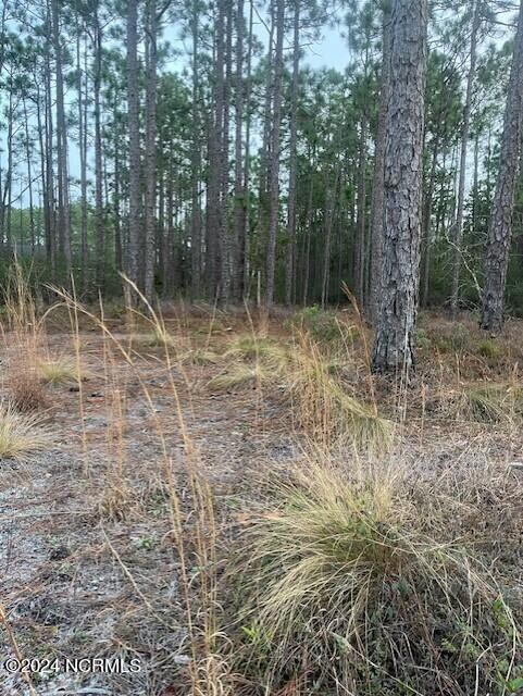 Juniper lot