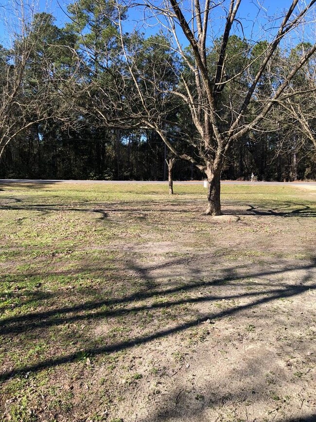 4217 Val Del Rd, Adel, GA 31620 - photo 3