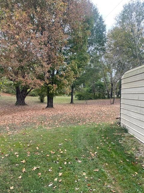 354 Old River Rd, Salt Lick, KY 40371 - photo 6