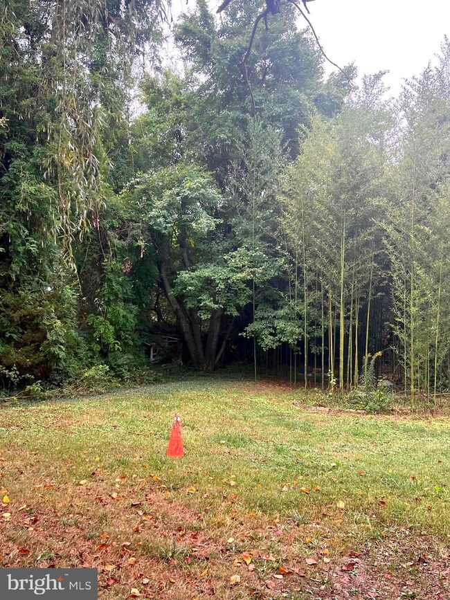 1311 N West Blvd, Newfield, NJ 08344 - photo 2