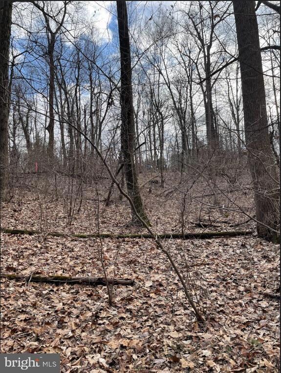 0 Sweitzer Rd unit PABK2026312, Mohnton, PA 17540 - photo 6