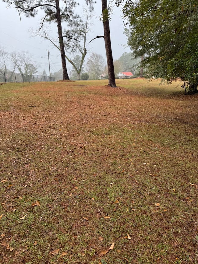 0 McQuaig St NW, Cairo, GA 39828 - photo 6