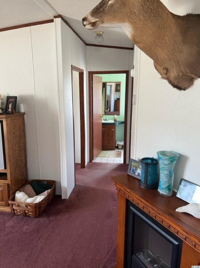 3360 Price Park Ln, Conway, SC 29526 - photo 6