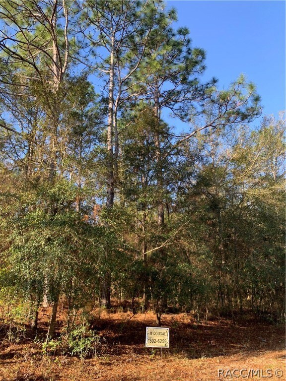 30 E Jinnita St, Hernando, FL 34442 - photo 7