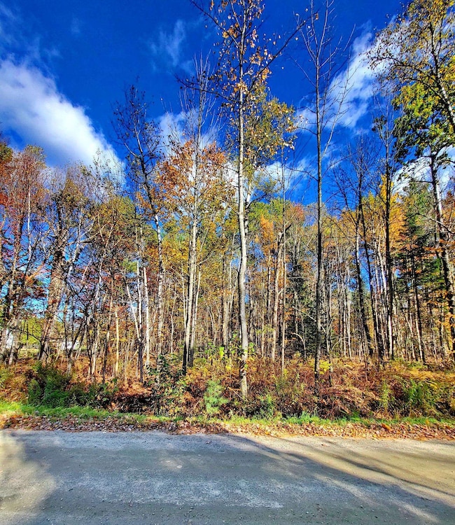 00 Swazey Ln unit 14, Bethlehem, NH 03574 - photo 6