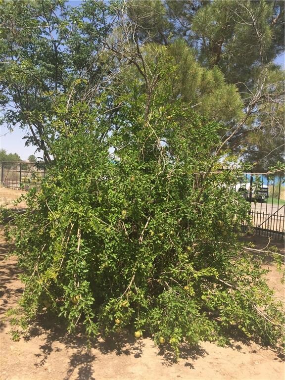 11601 Valle Del Centro Dr, El Paso, TX 79927 - photo 6