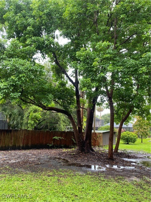 View of yard