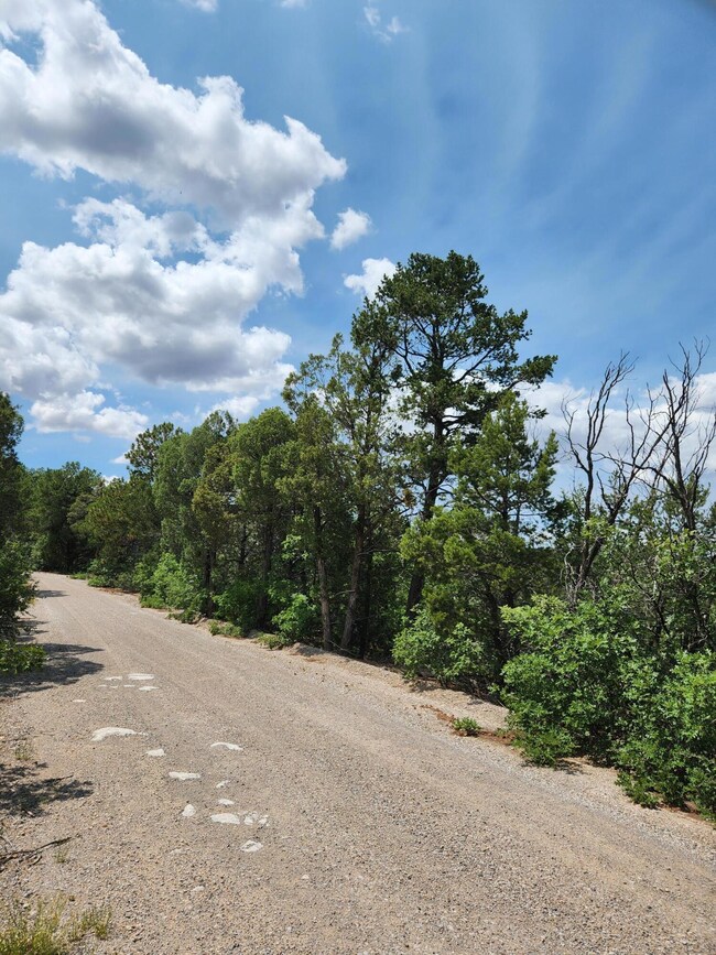 5 Spies Rd, Ponderosa Pine, NM 87059 - photo 4