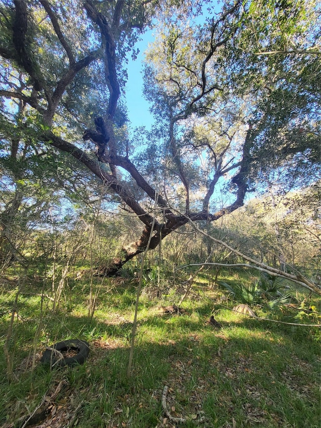 592 Cabana Trail, Angleton, TX 77515 - photo 5