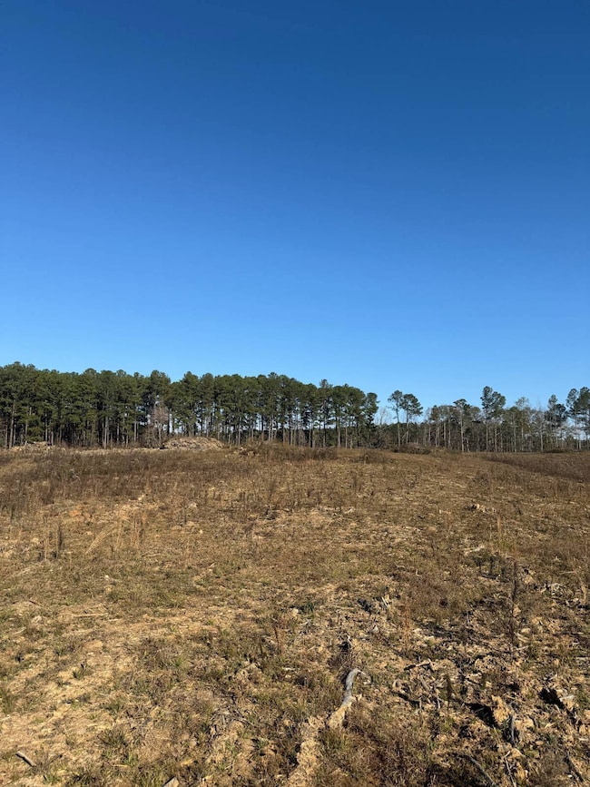 159 D B Williamson Rd # B, Louisville, MS 39339 - photo 6