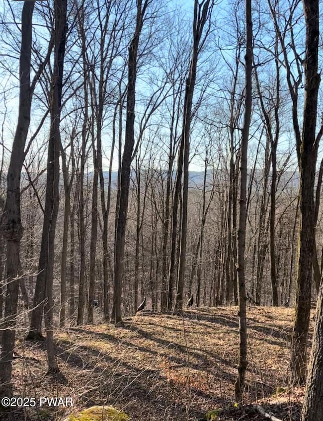 4, 5, 6, 7 Secluded Lake Rd, Newfoundland, PA 18445 - photo 6