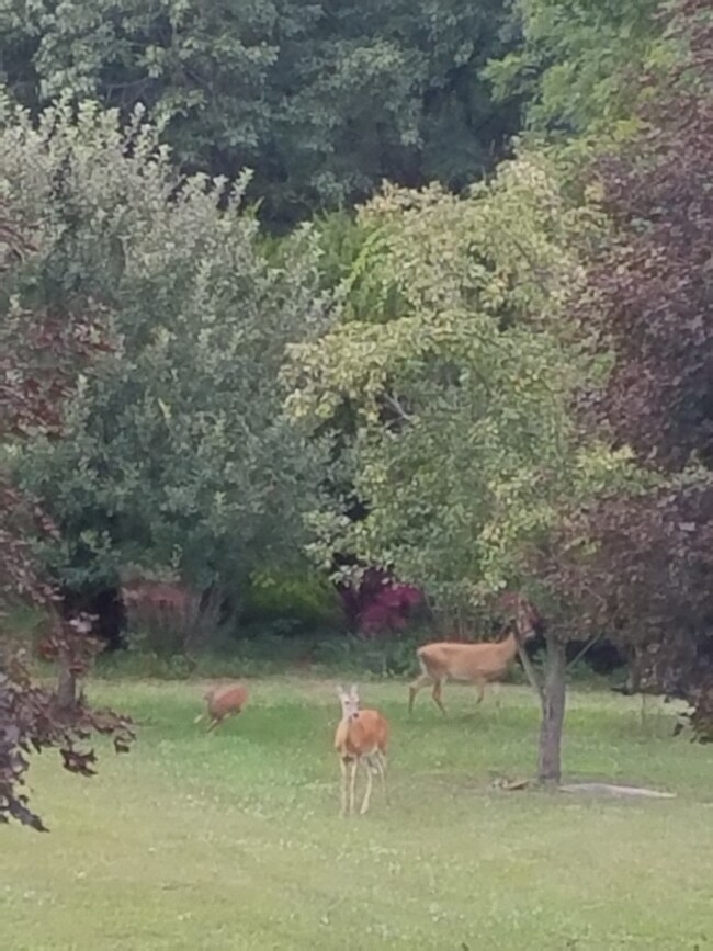 15941 14th Rd, Plymouth, IN 46563 - photo 7