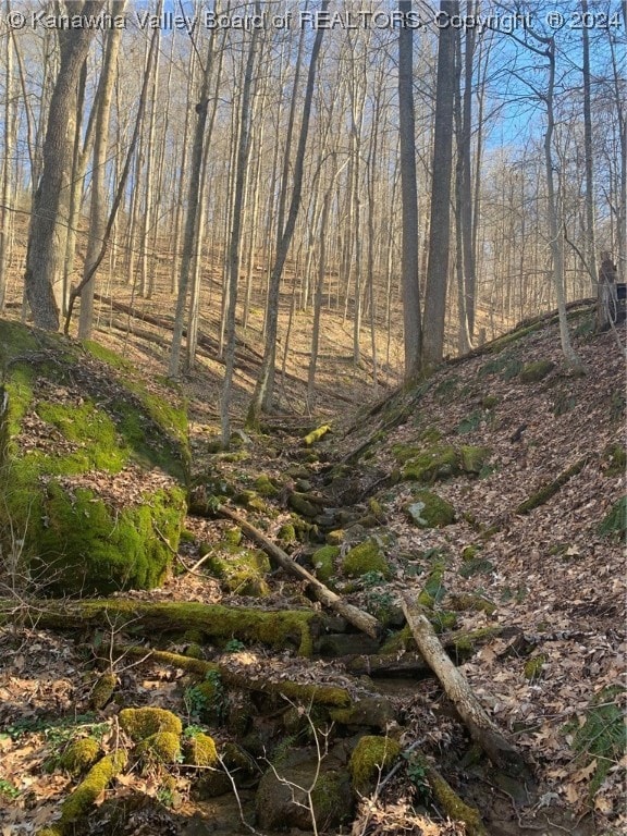 TBD Buckeye Creek Rd, Sutton, WV 26601 - photo 6