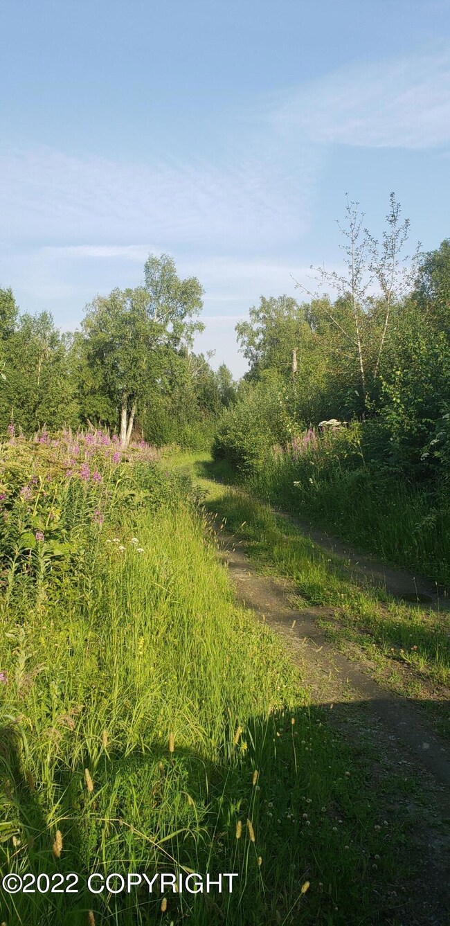 continue down overgrown trail to propert
