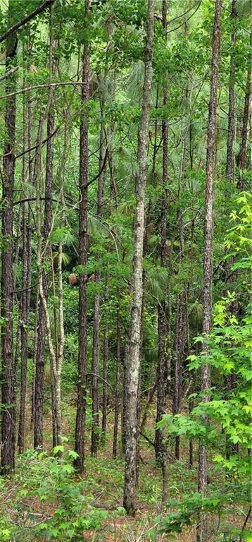 Wooded land