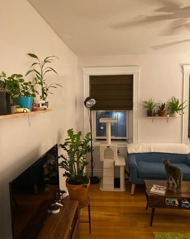 31 Queensberry St unit 8, Boston, MA 02215 - photo 3