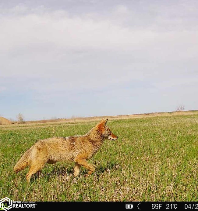 3215 305th St, Dows, IA 50071 - photo 6