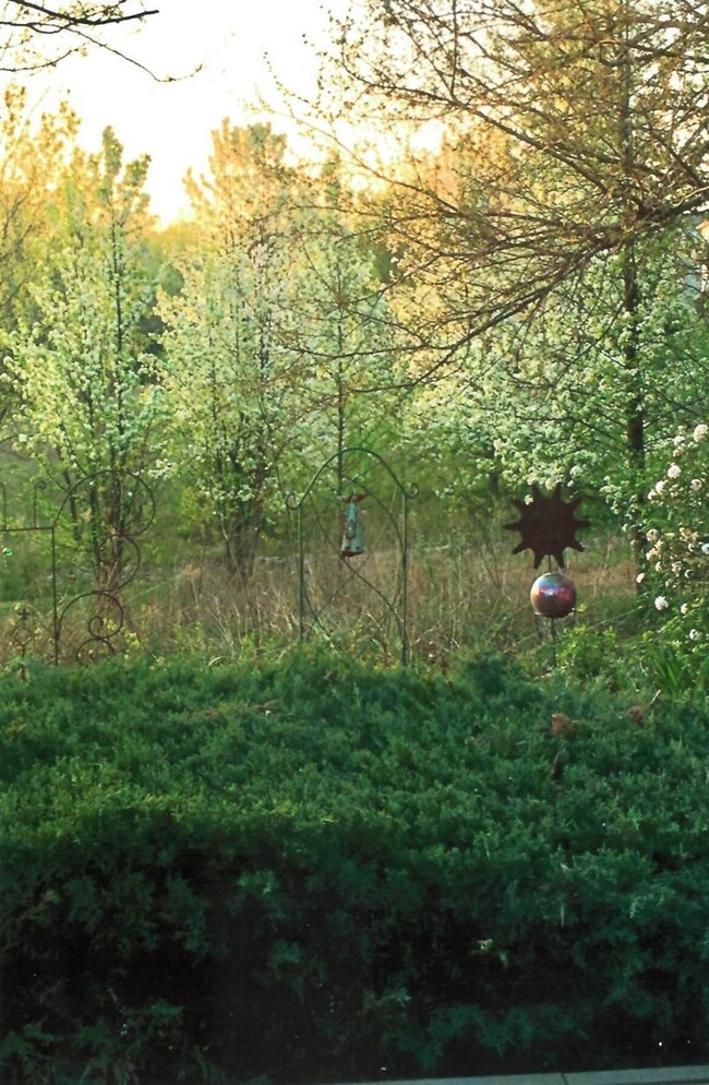 800 Lund Ln, Batavia, IL 60510 - photo 2