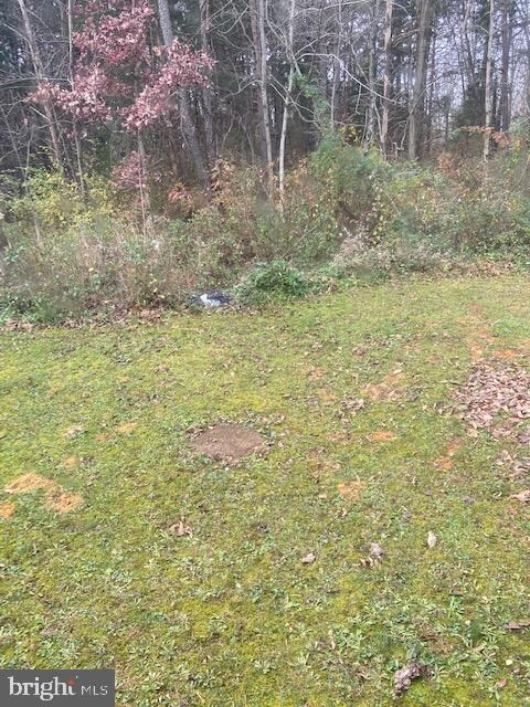 74 Furley Dr unit 2, Bunker Hill, WV 25413 - photo 5