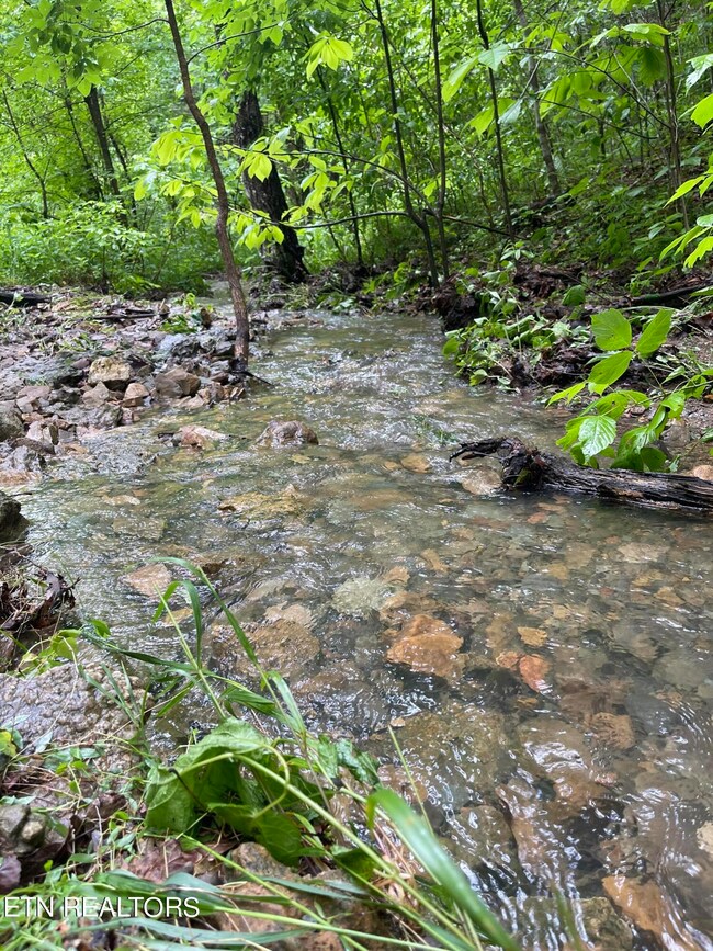 creek #1