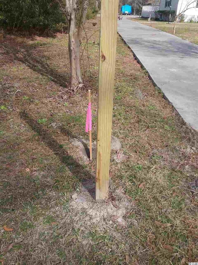 3766 Pee Dee Hwy unit Lot next to 3748 Pee, Conway, SC 29527 - photo 4