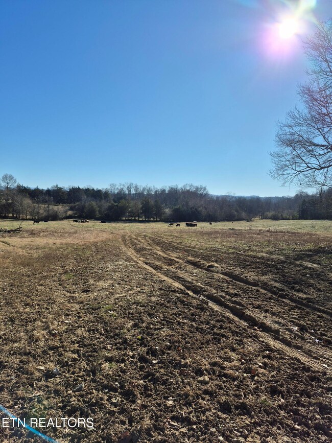 0 Highway 411 unit 1324263, Madisonville, TN 37354 - photo 4