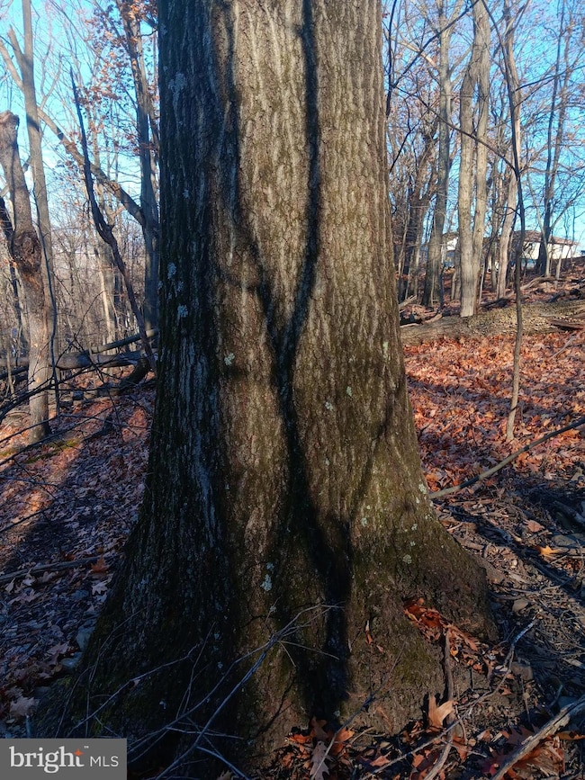 0 Gray Ave unit MDAL2013506, Cumberland, MD 21502 - photo 4