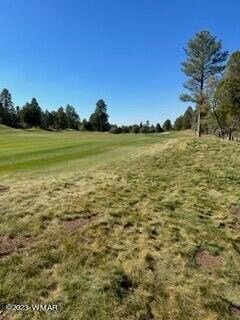 Fairway View